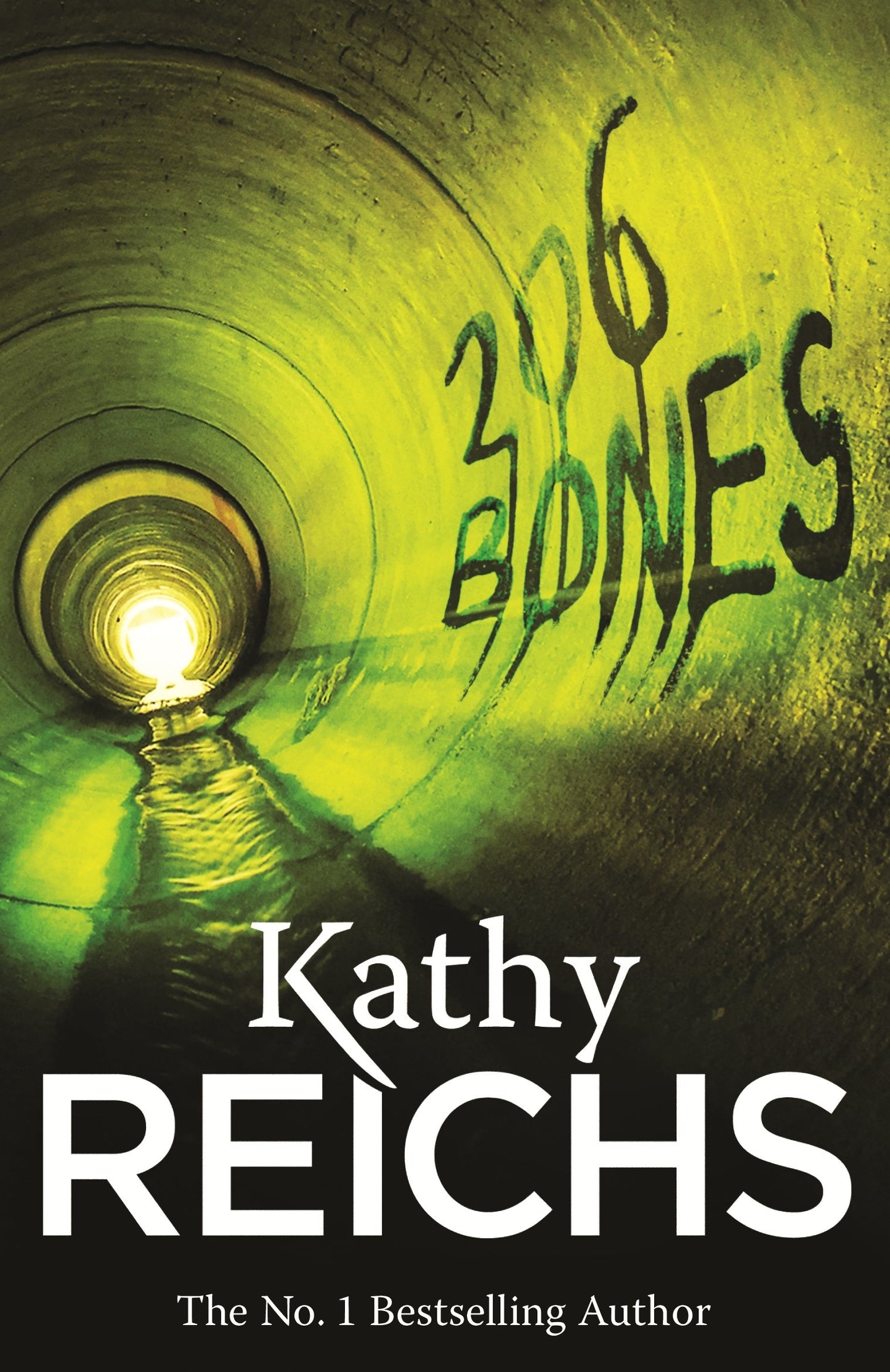 206 Bones: (Temperance Brennan 12) [Paperback] Kathy Reichs - 5653